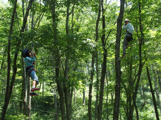 森の中で木登りする親子