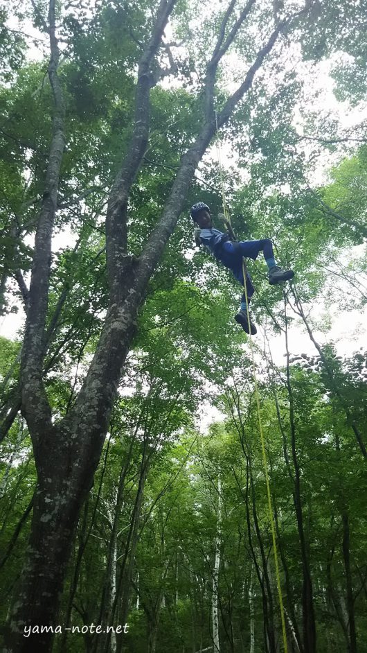森の中で木登りする少年